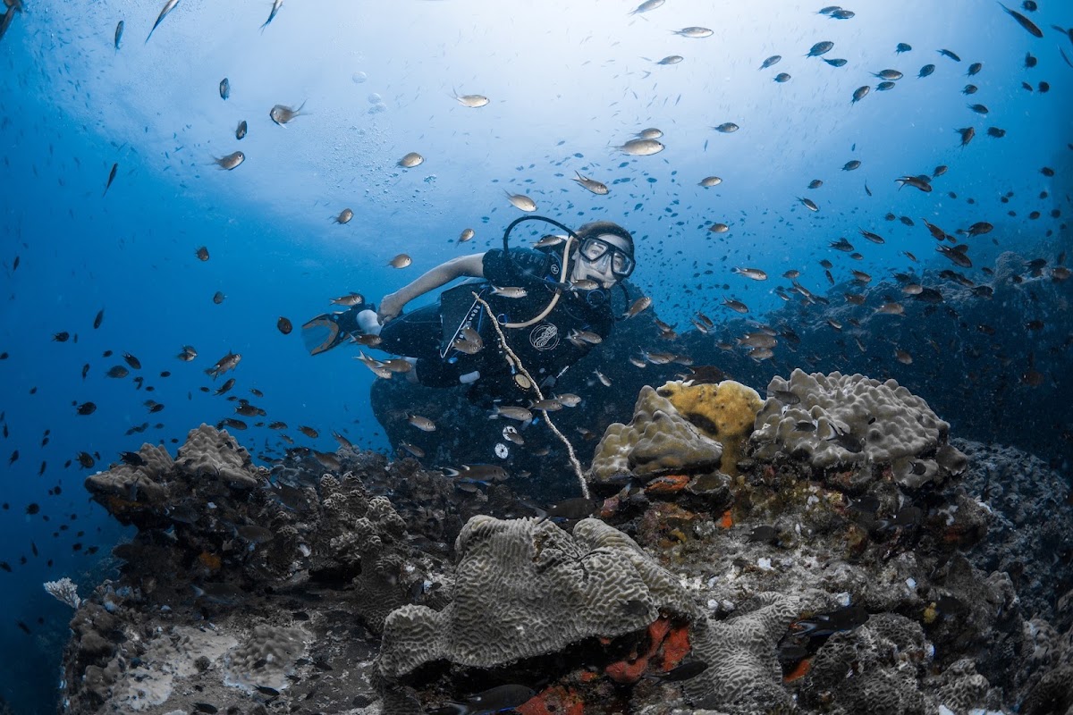 Waterspeak Private Charters & Scuba Diving - Photo 3